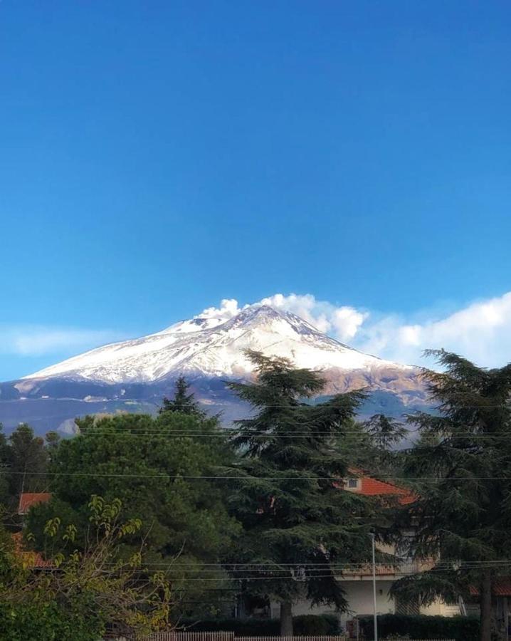 Appartamento Opuntia Dell'Etna Bike House Mascalucia Esterno foto